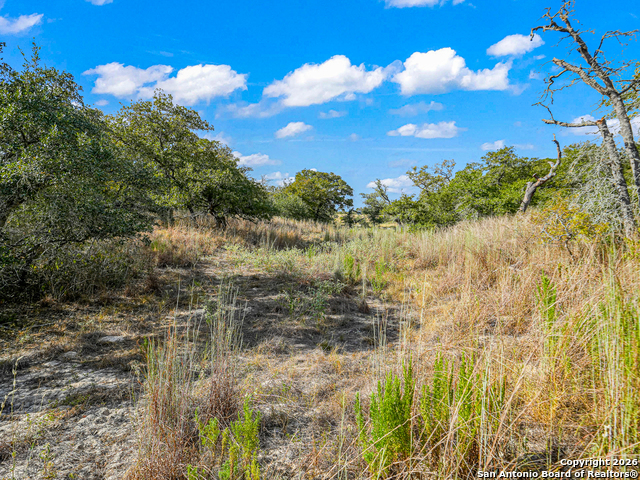 Image 16 of 46 For 12180 Fm 1117