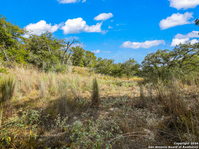 Image 17 of 46 For 12180 Fm 1117