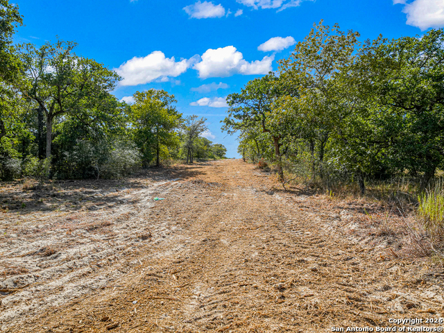 Image 6 of 46 For 12180 Fm 1117