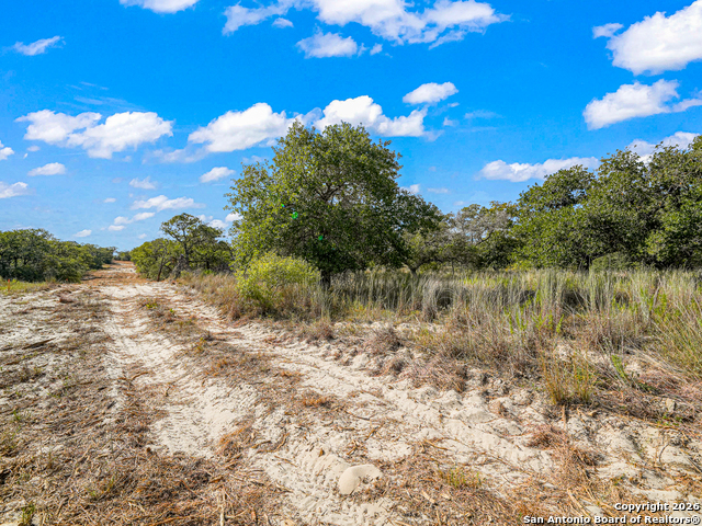 Image 7 of 46 For 12180 Fm 1117