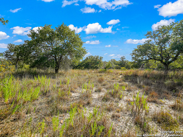 Image 8 of 46 For 12180 Fm 1117