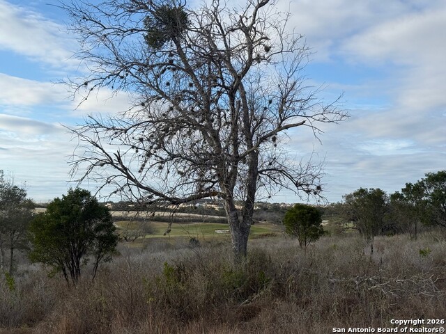 Image 4 of 11 For 13511 Sendera Court