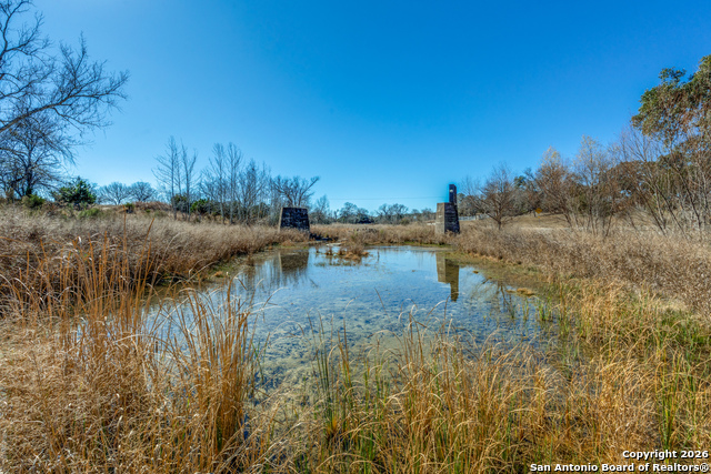 Image 6 of 17 For 330 Waring Welfare