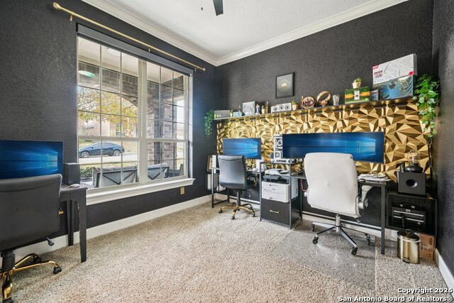 Listing photo id 13 for 3318 Calhoun Cove