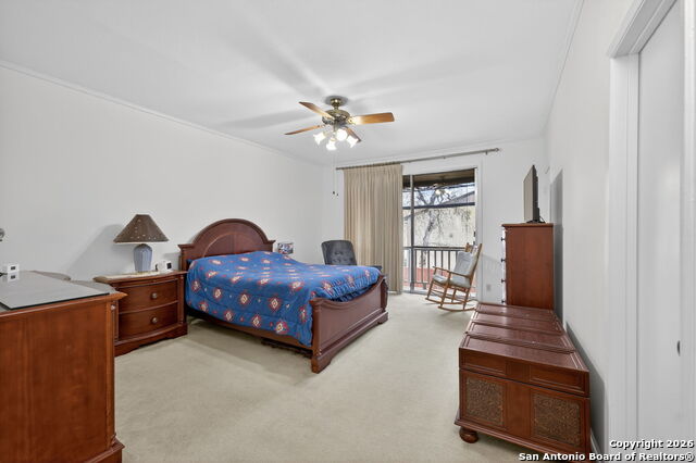 Image 29 of 41 For 3678 Hidden  #1301