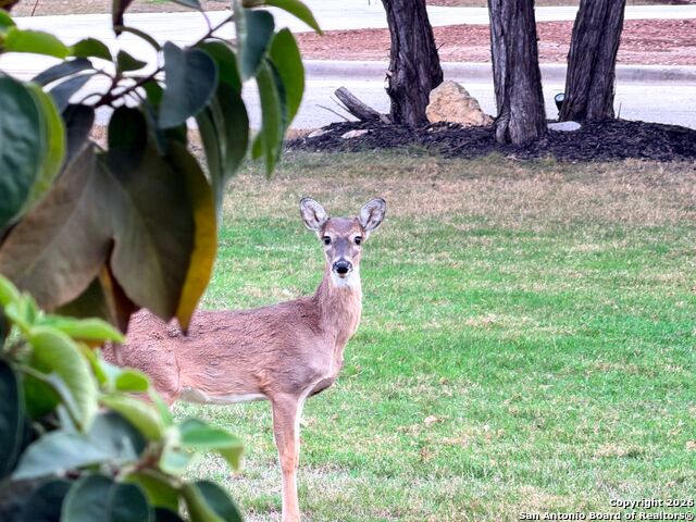 Image 81 of 91 For 10811 Zedernholz Run
