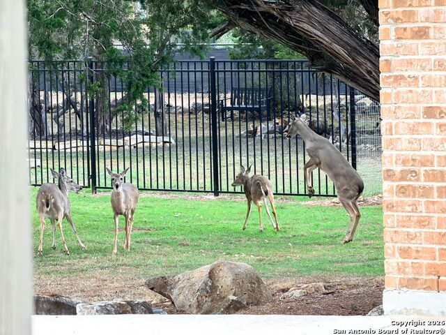 Image 82 of 91 For 10811 Zedernholz Run