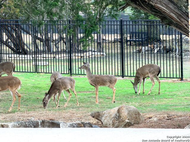 Image 83 of 91 For 10811 Zedernholz Run