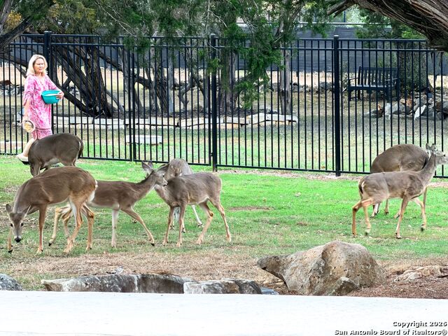 Image 84 of 91 For 10811 Zedernholz Run