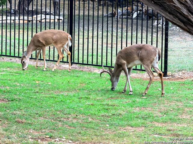 Image 85 of 91 For 10811 Zedernholz Run