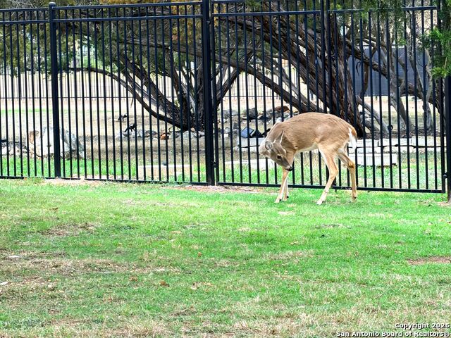 Image 86 of 91 For 10811 Zedernholz Run