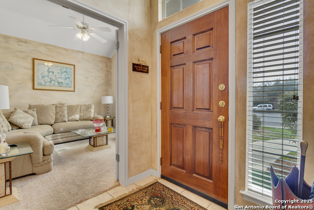 Image 3 of 52 For 3 Greens Shadow