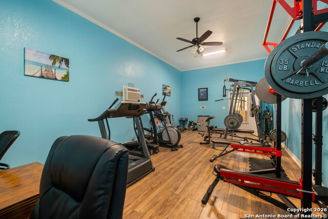 Image 88 of 99 For 103 Rio Grande Dr