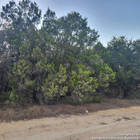 Details for 0 Tbd (oak Ridge - Lot 22), Spring Branch, TX 78070