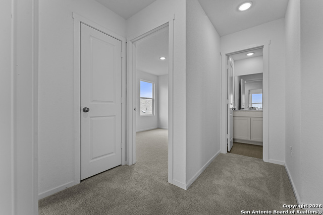 Image 25 of 30 For 1834 Stonechat