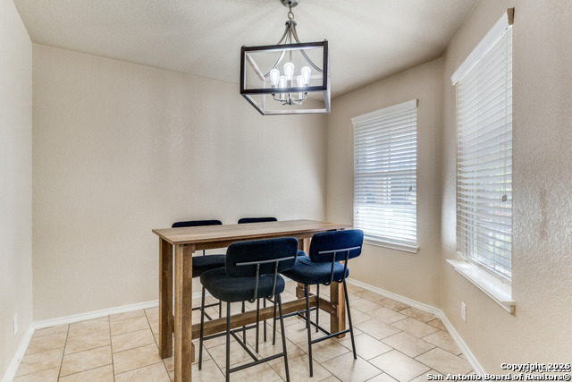 Image 6 of 14 For 8816 Belgian