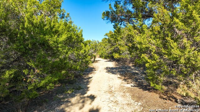 Listing photo id 11 for 1515 Old Boerne