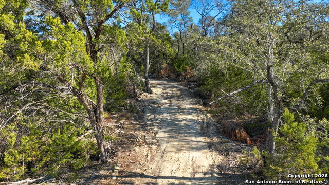 Listing photo id 15 for 1515 Old Boerne