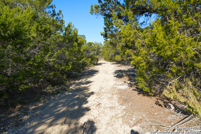 Listing photo id 17 for 1515 Old Boerne