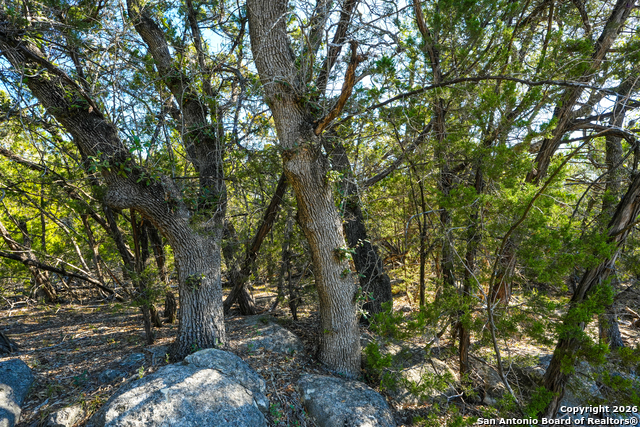 Listing photo id 18 for 1515 Old Boerne