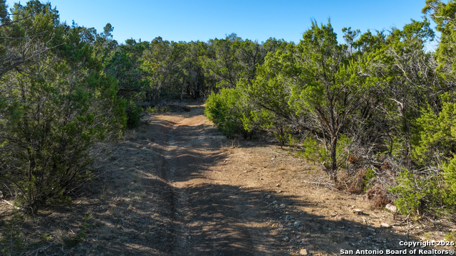 Listing photo id 1 for 1515 Old Boerne