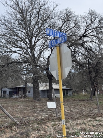 Image 9 of 13 For 1427 Black Powder