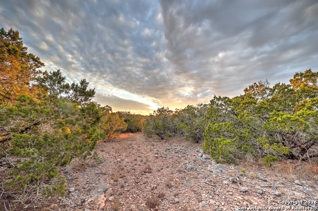 Listing photo id 13 for 438 Yellowstone Lane