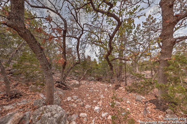 Listing photo id 16 for 438 Yellowstone Lane