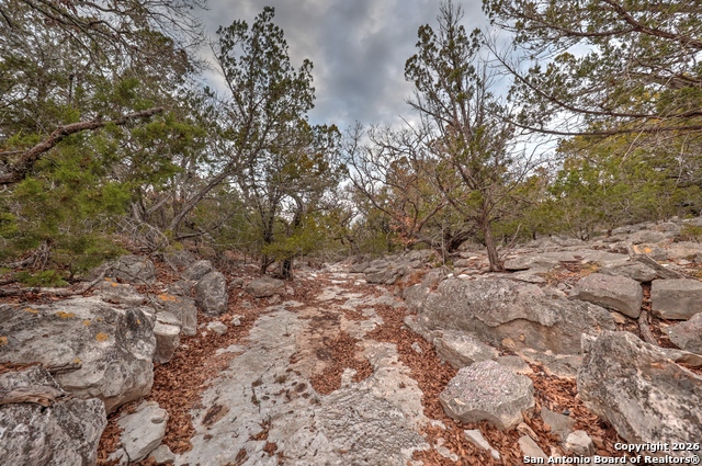 Listing photo id 18 for 438 Yellowstone Lane