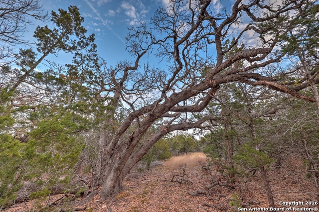 Listing photo id 24 for 438 Yellowstone Lane