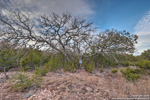 Listing photo id 25 for 438 Yellowstone Lane