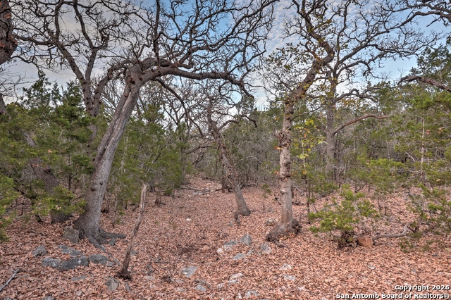 Listing photo id 27 for 438 Yellowstone Lane