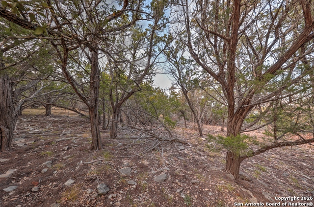 Listing photo id 29 for 438 Yellowstone Lane