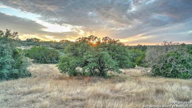 Listing photo id 4 for 438 Yellowstone Lane