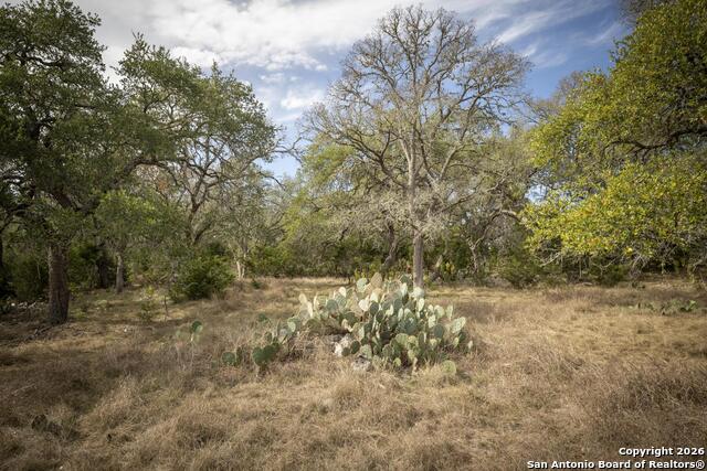Image 43 of 50 For 360 Kirk Ln  