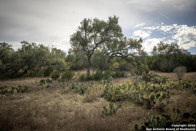 Image 46 of 50 For 360 Kirk Ln  