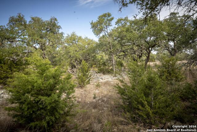 Image 49 of 50 For 360 Kirk Ln  