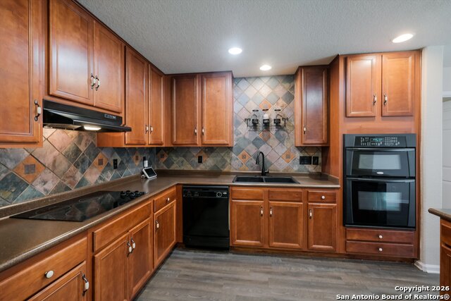 Image 10 of 31 For 233 Springtree Trl