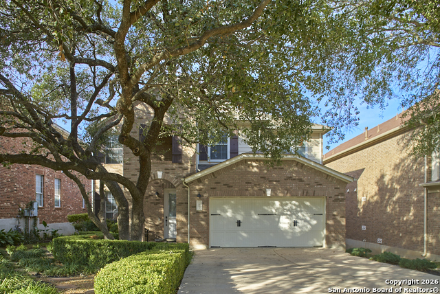 Image 2 of 31 For 1403 Osnats Pt