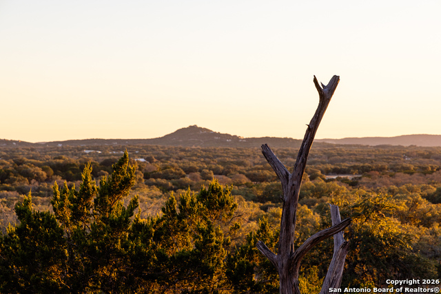 Image 37 of 50 For 488 Phillip  