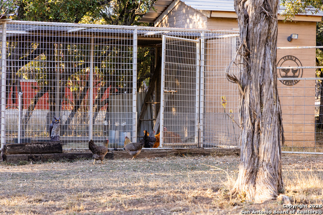 Image 42 of 50 For 488 Phillip  