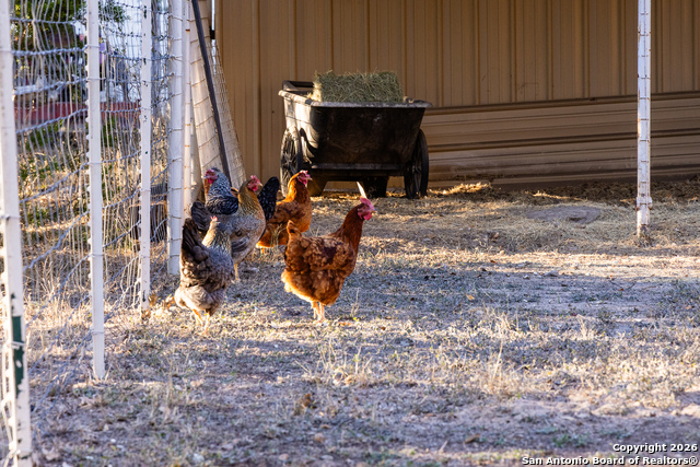 Image 47 of 50 For 488 Phillip  