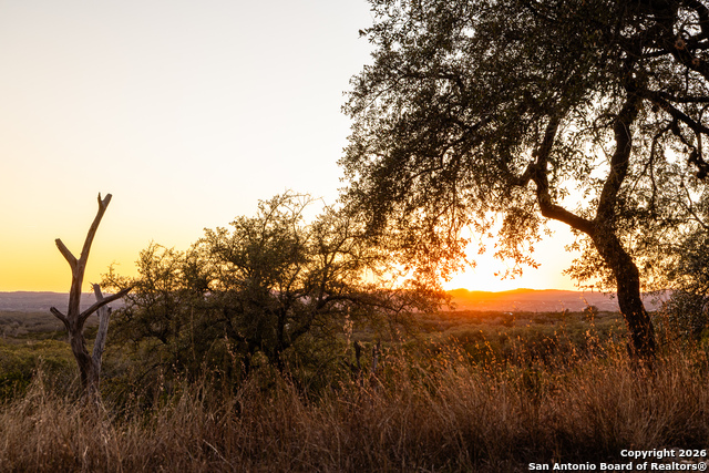 Image 50 of 50 For 488 Phillip  