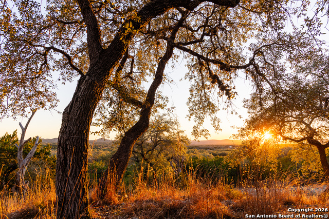 Image 35 of 50 For 488 Phillip  