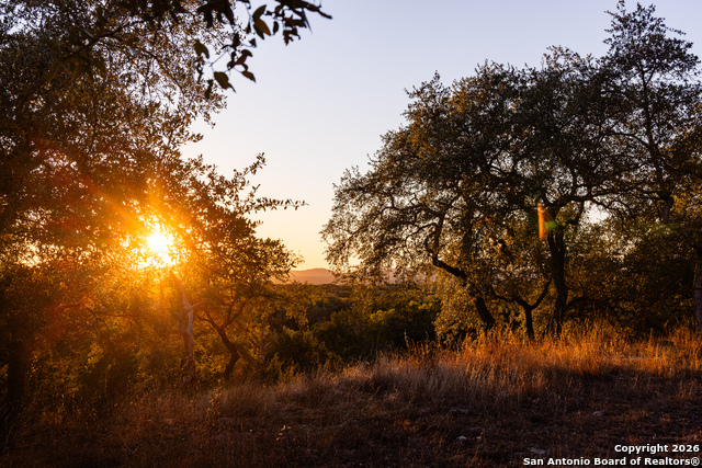 Image 36 of 50 For 488 Phillip  