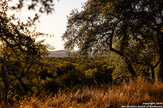 Image 39 of 50 For 488 Phillip  