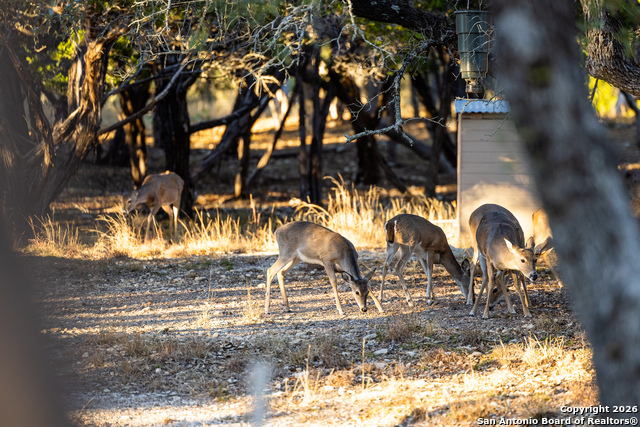 Image 41 of 50 For 488 Phillip  