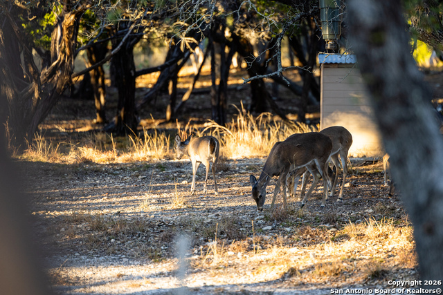 Image 44 of 50 For 488 Phillip  