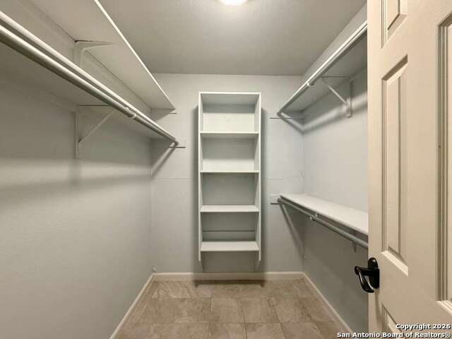 Image 14 of 27 For 1213 Camellia