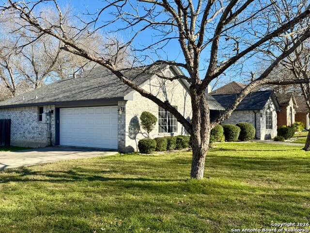 Image 2 of 27 For 1213 Camellia